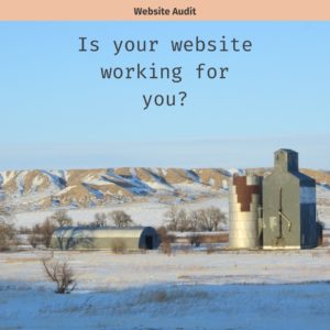 text says is your website working for you