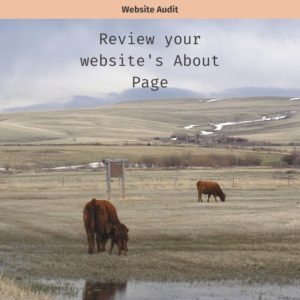 text reads Review your About Page