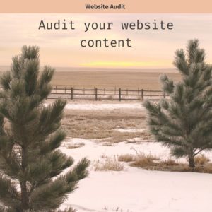 Audit your website content